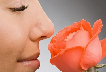 رابطه بین بوییدن گل‌ها و بهبود سیستم ایمنی بدن