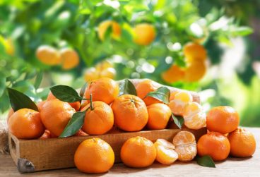 مزایای نارنگی؛ میوه‌ای کوچک با دنیایی از خواص شگفت‌انگیز