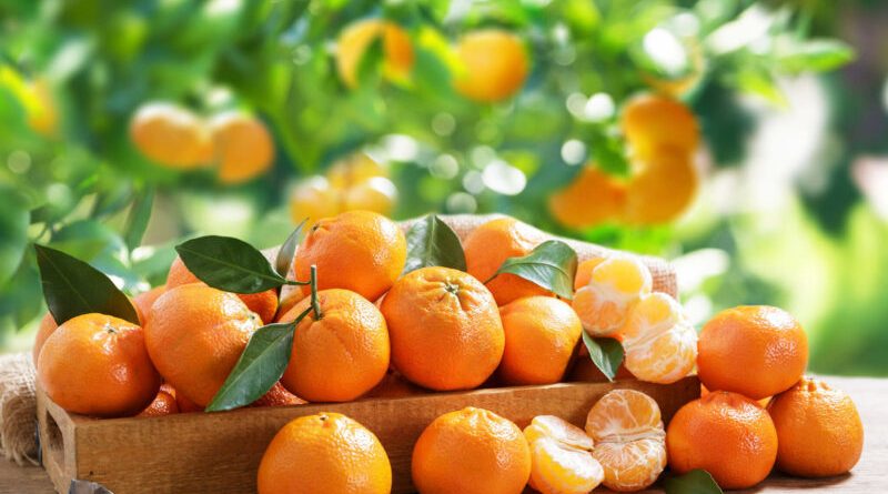 مزایای نارنگی؛ میوه‌ای کوچک با دنیایی از خواص شگفت‌انگیز